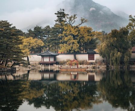 한류 스타 안세영, 역사에 이름을 새기다! 배드민턴 2023 세계개인전선수권에서 한국 선수 최초로 여자 단식 결승에 진출한다! 한류,안세영,역사,배드민턴,2023세계개인전선수권,한국선수,여자단식,결