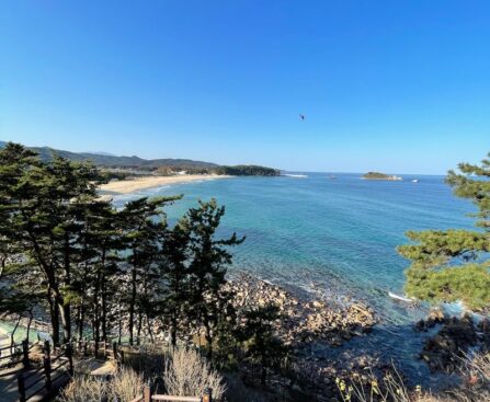 합참, 북한 월북 미군 트래비스 킹 추방 결정합참,북한,월북,미군,트래비스,킹,추방,결정