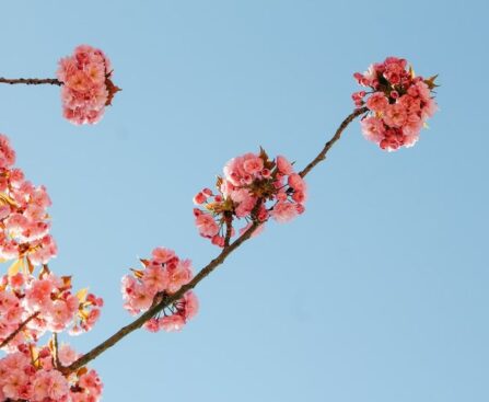 '독일 더비' 승자는 KIM...바이에른 뮌헨, 마인츠 3-1로 잡고 개막 8 연승 달성독일더비,승자,KIM,바이에른뮌헨,마인츠,개막8연승